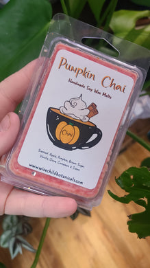 Pumpkin Chai Wax Melts